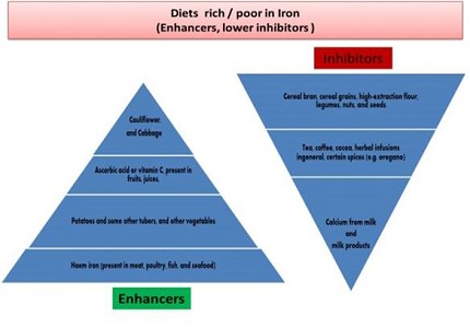 Iron Deficiency Anemia: a burden for world health