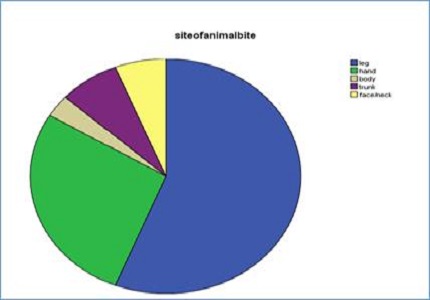 An epidemiological study of dog bite cases in a rural area of Salem, Tamil Nadu
